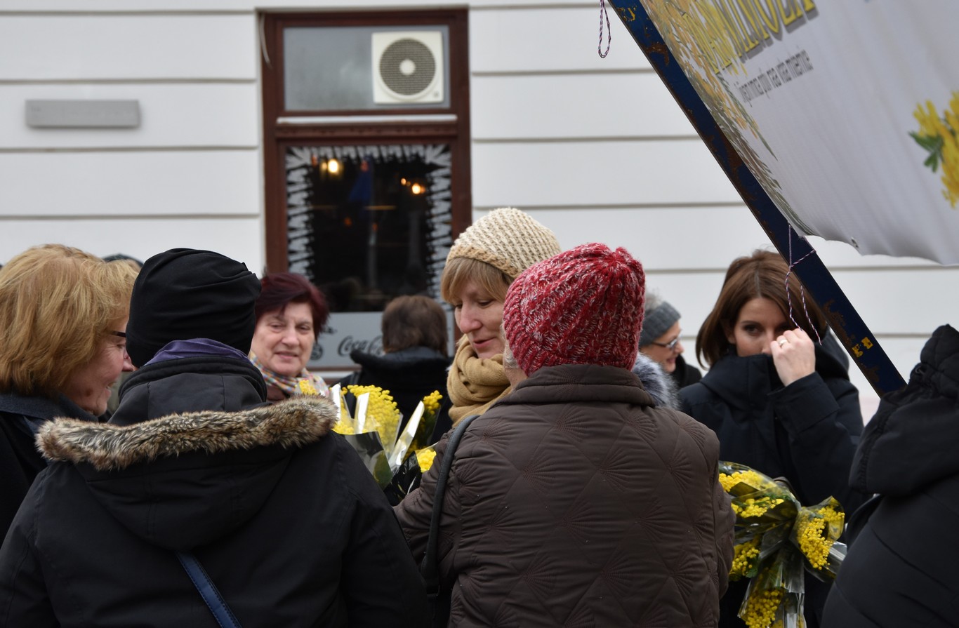 Dan mimoza u Čakovcu