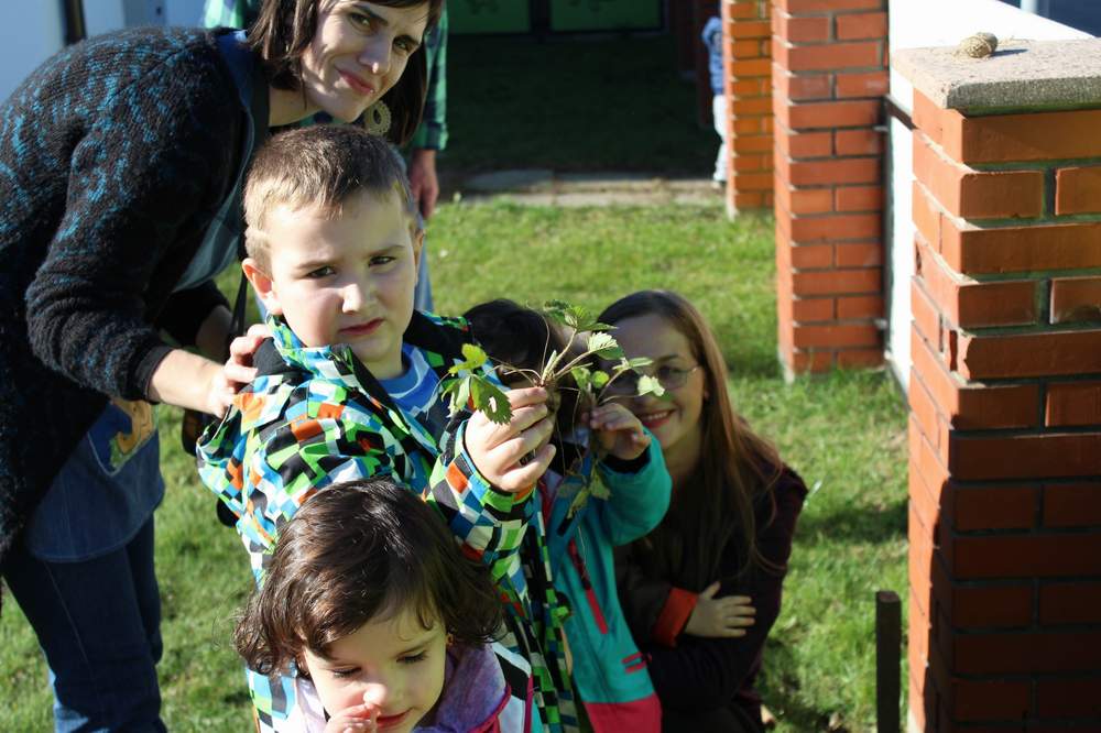 12112015povockajmovrtovedjecjah