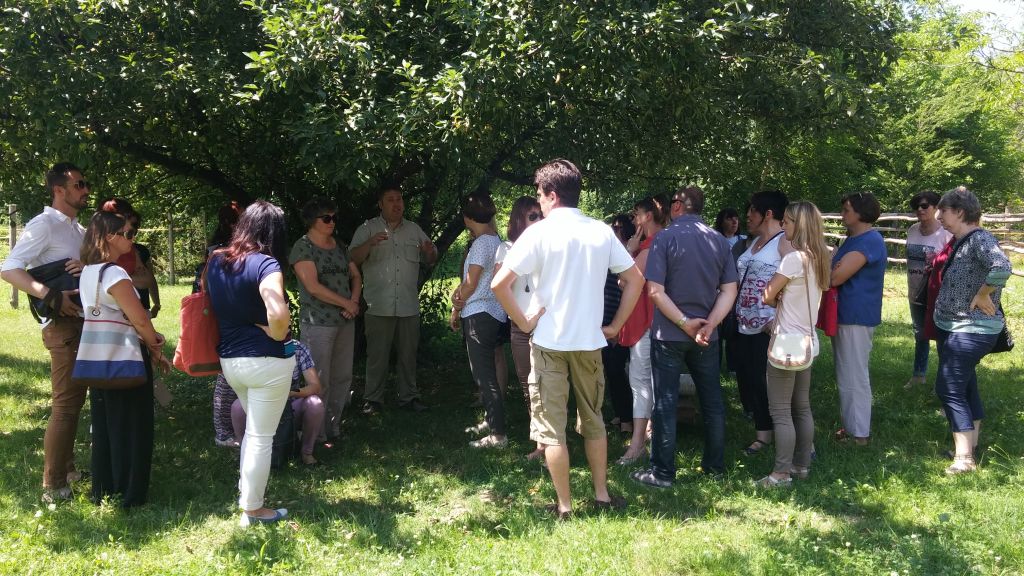 20170626130910249306