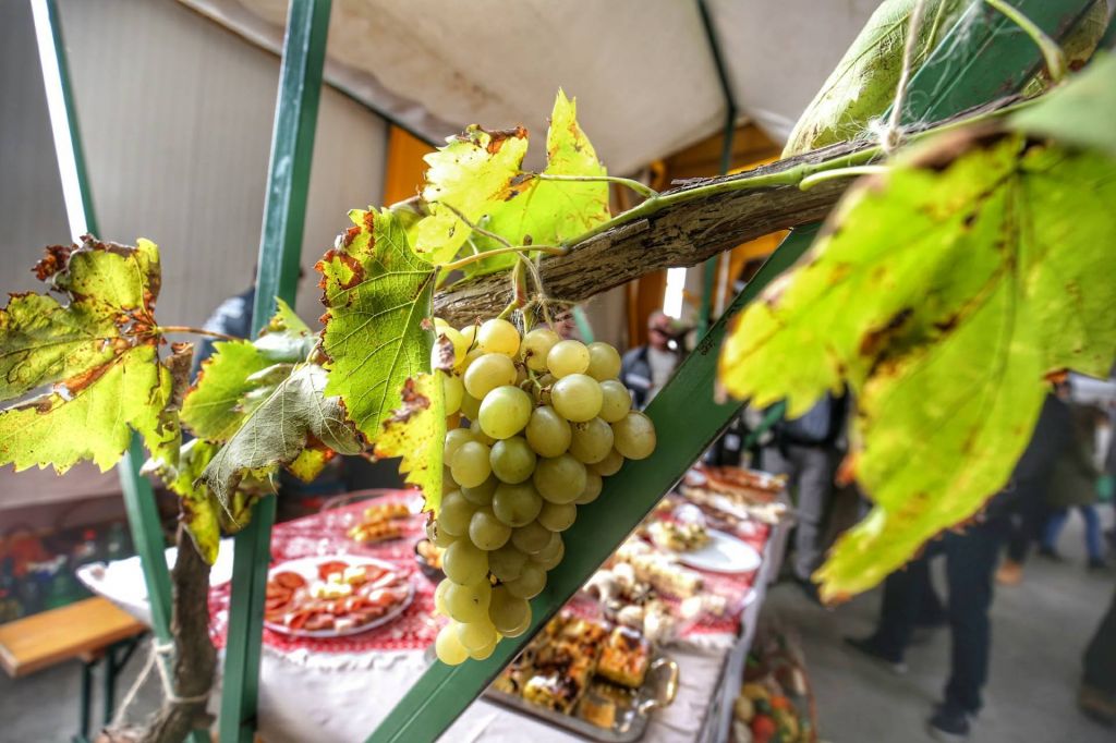 2351639310213458848122579435620