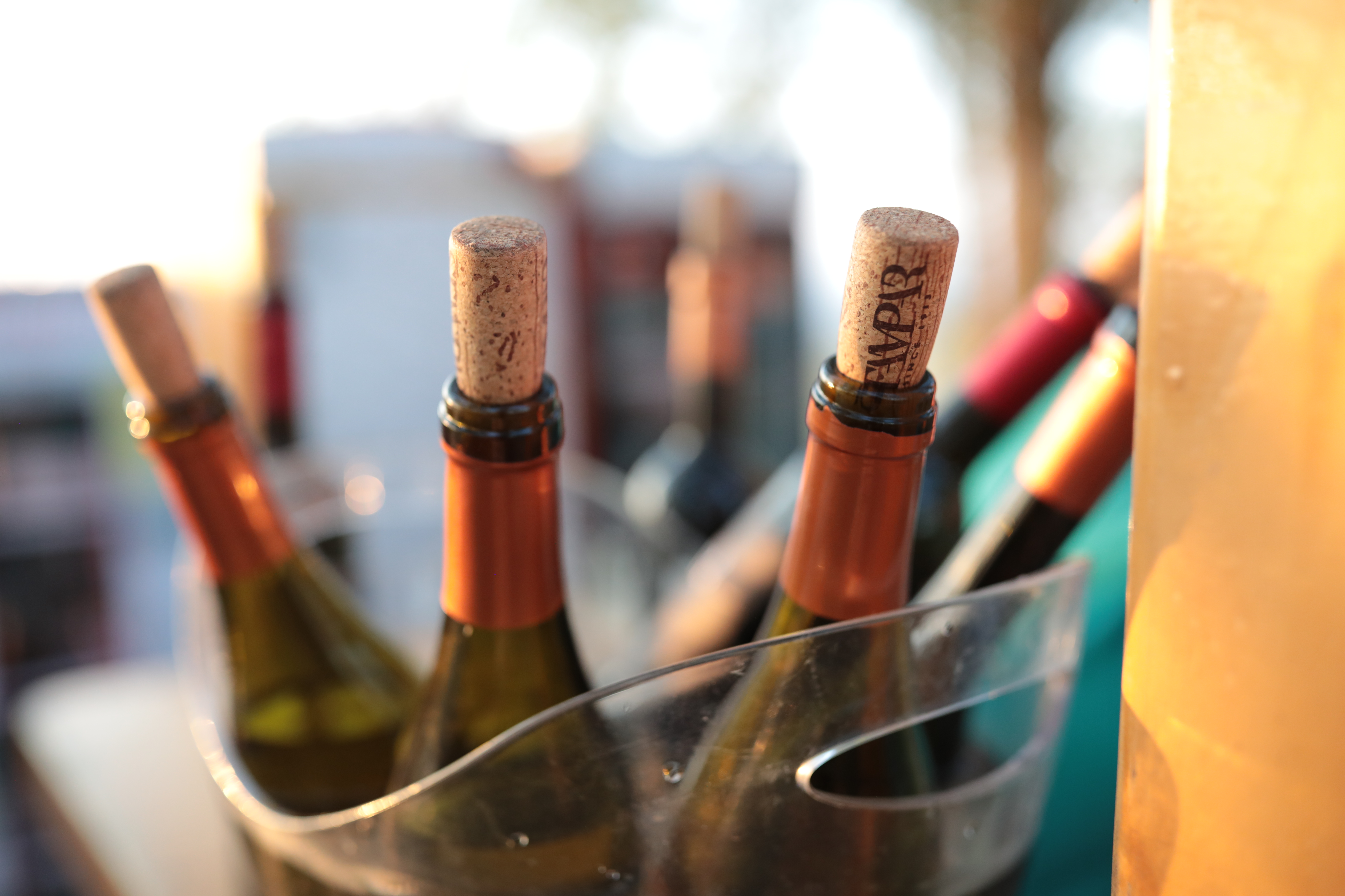 Oaza okusa na Mađerkinom bregu kod Štampara