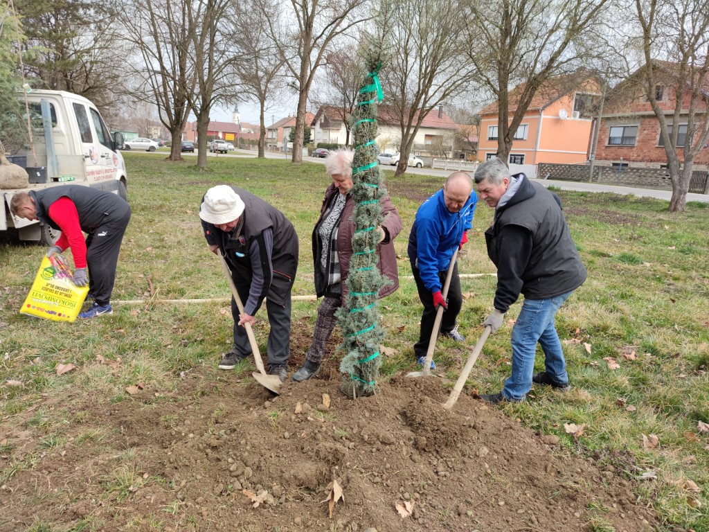 Belica, sadnja parka 2022