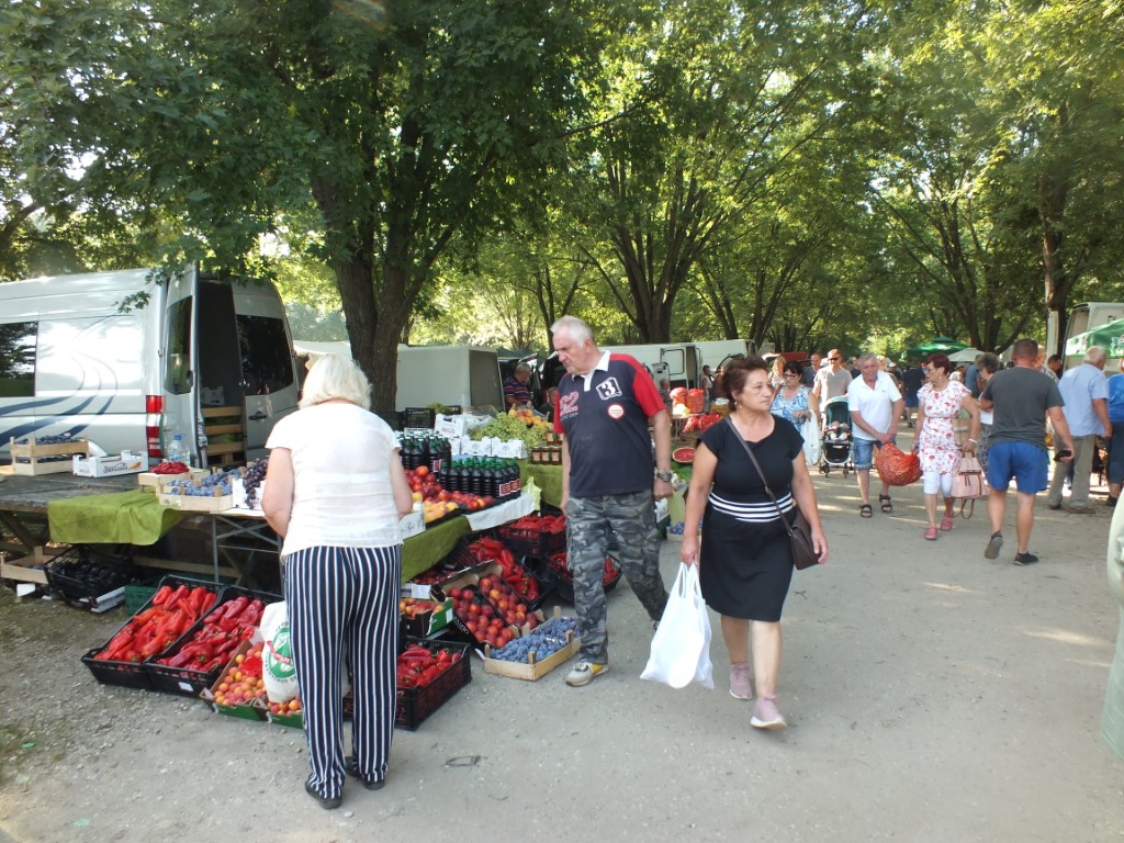 Image 5810891 (auto)