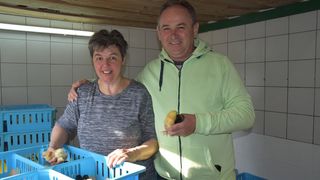 IVAN I MIRJANA FABIĆ IZ KOTORIBE Sasso kokoši, jedino matično jato u Hrvatskoj!