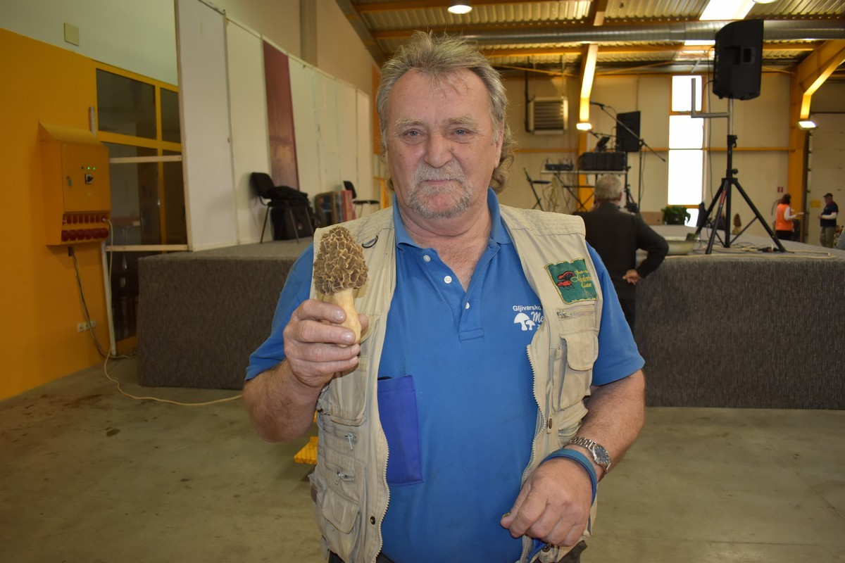 Smrčkijada Smrčkijada