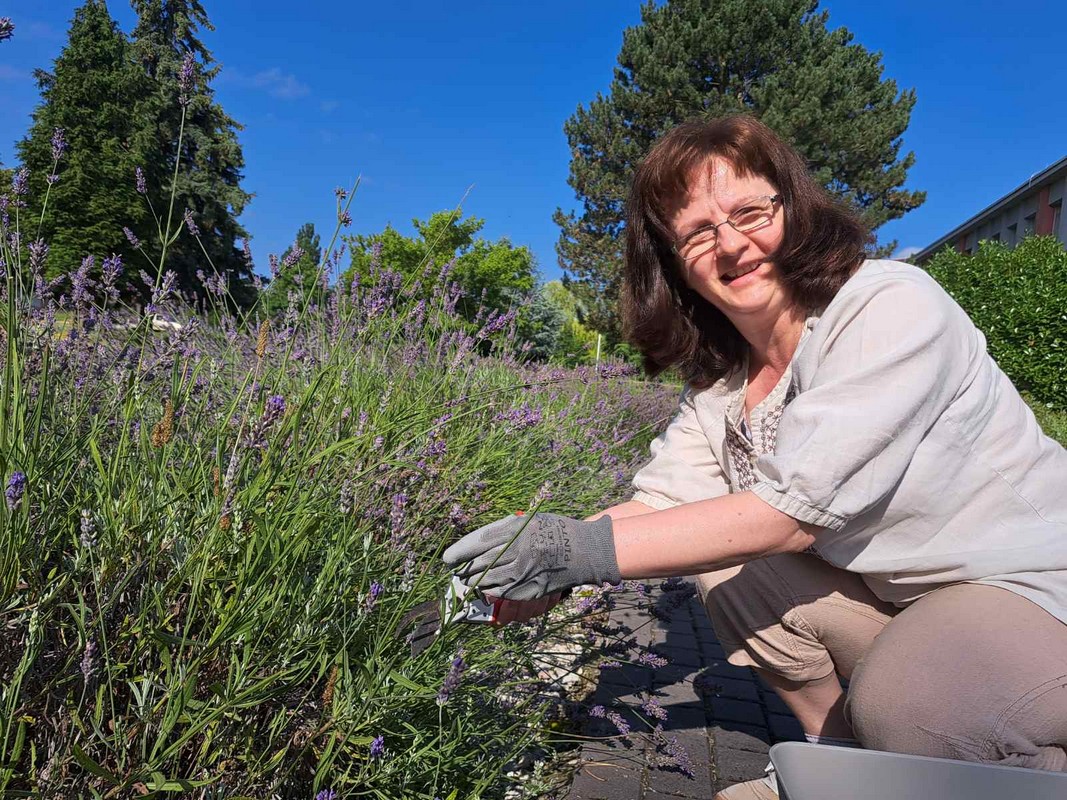 Mirisni vrt ETŠ Čakovec