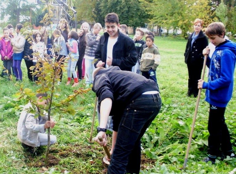 etwinningtreepribislaveccroatia