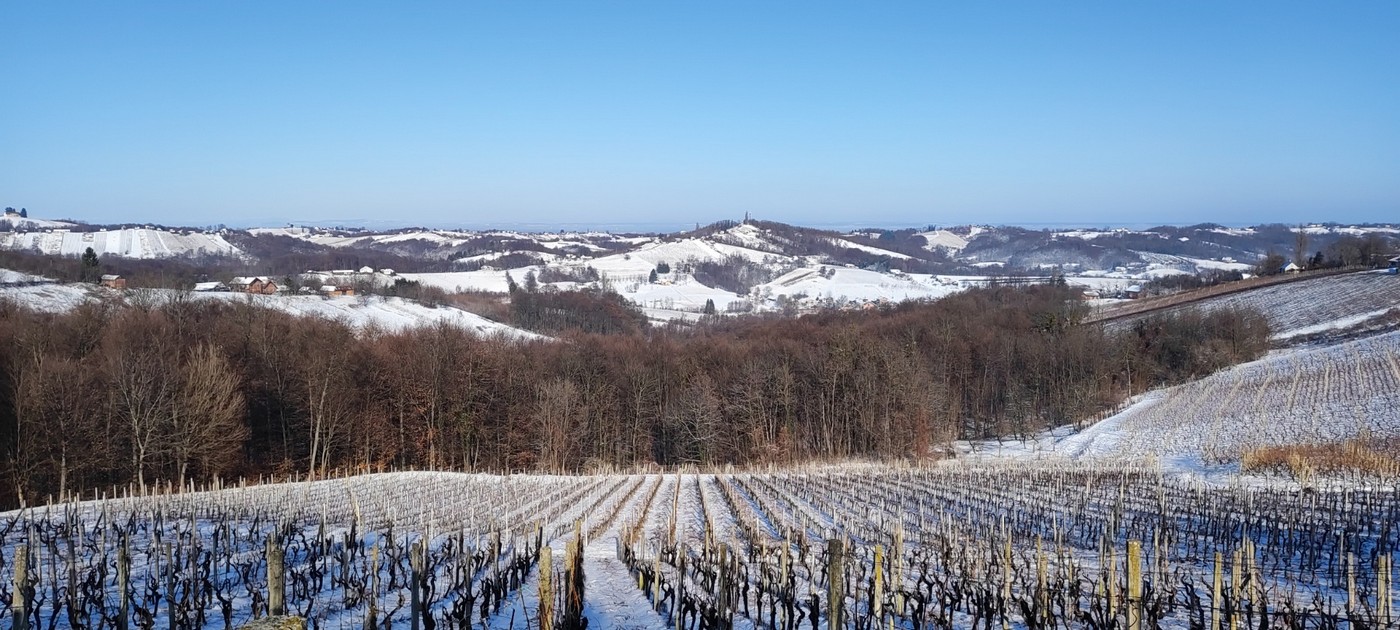 Vincekov pohod po štrigovskim bregima, Vincekovo, Štrigova 2024. Vincekov pohod po štrigovskim bregima, Vincekovo, Štrigova 2024.