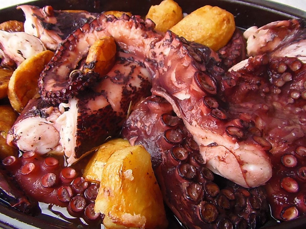 hobotnicapodpekom6467266