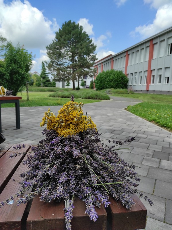 Mirisni vrt ETŠ Čakovec