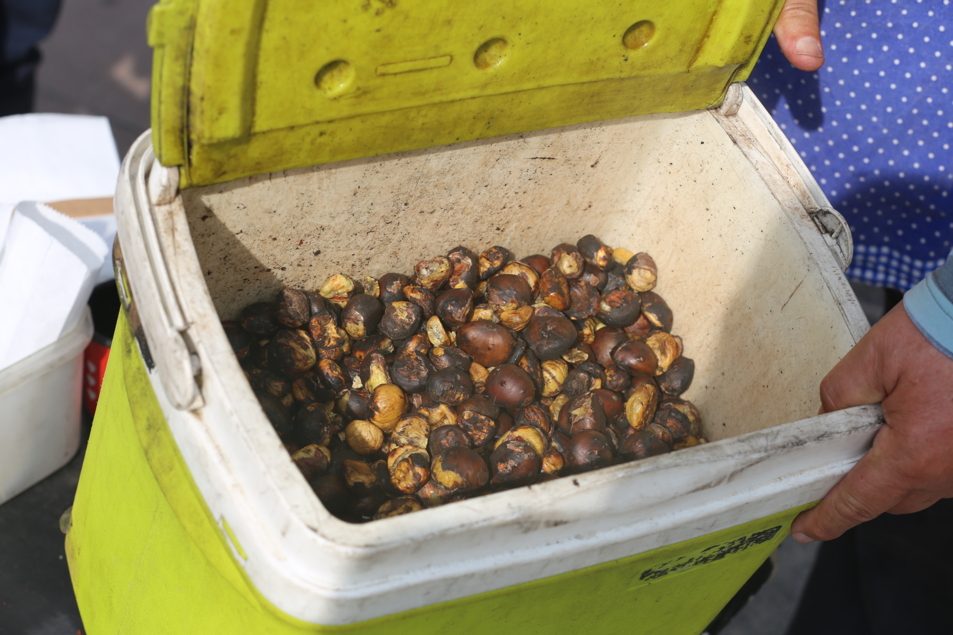 Humanitarno-edukativna kestenijada u Čakovcu