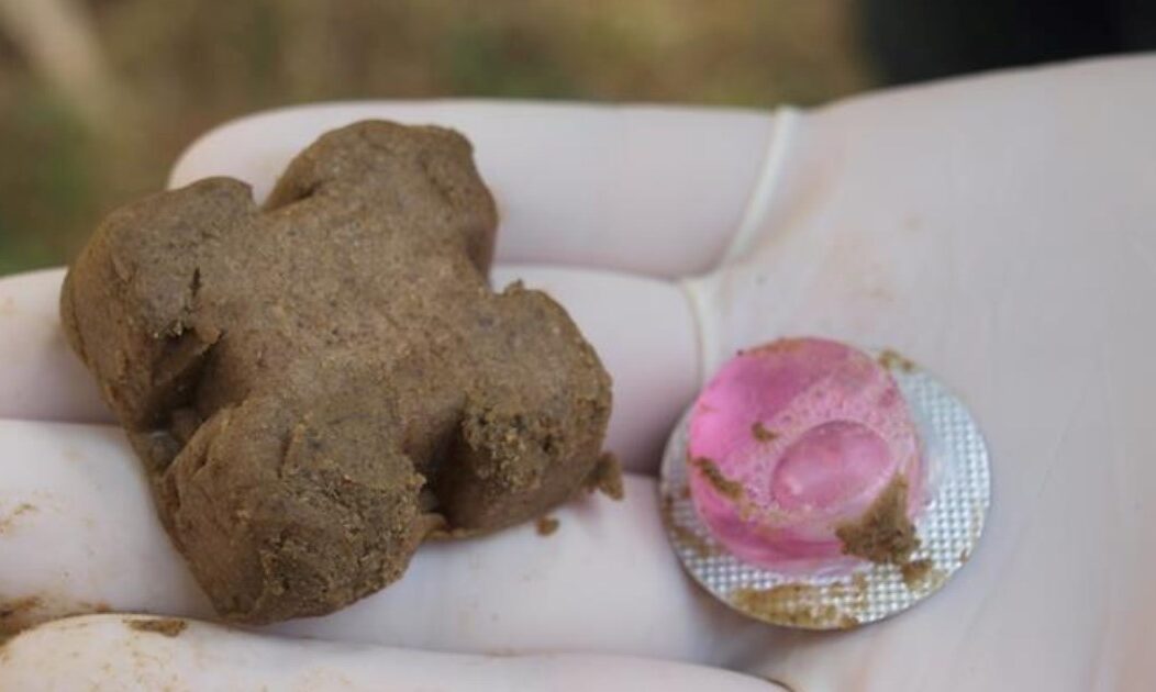 kolačići, bjesnoća,ministarstvo poljoprivrede