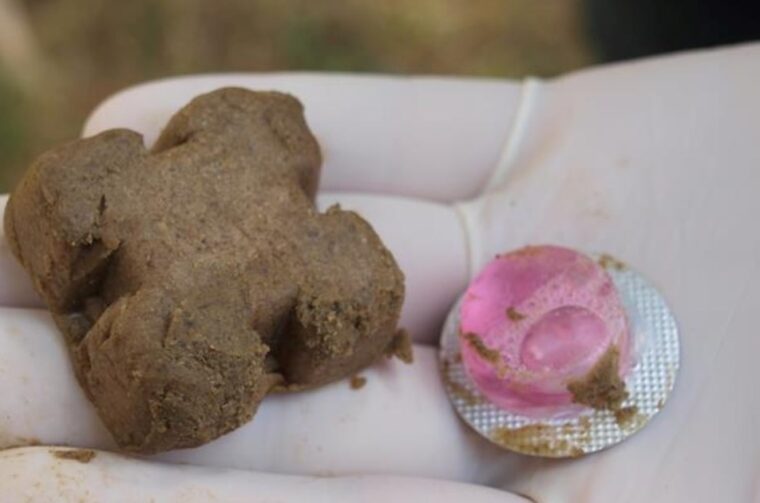 kolačići, bjesnoća,ministarstvo poljoprivrede