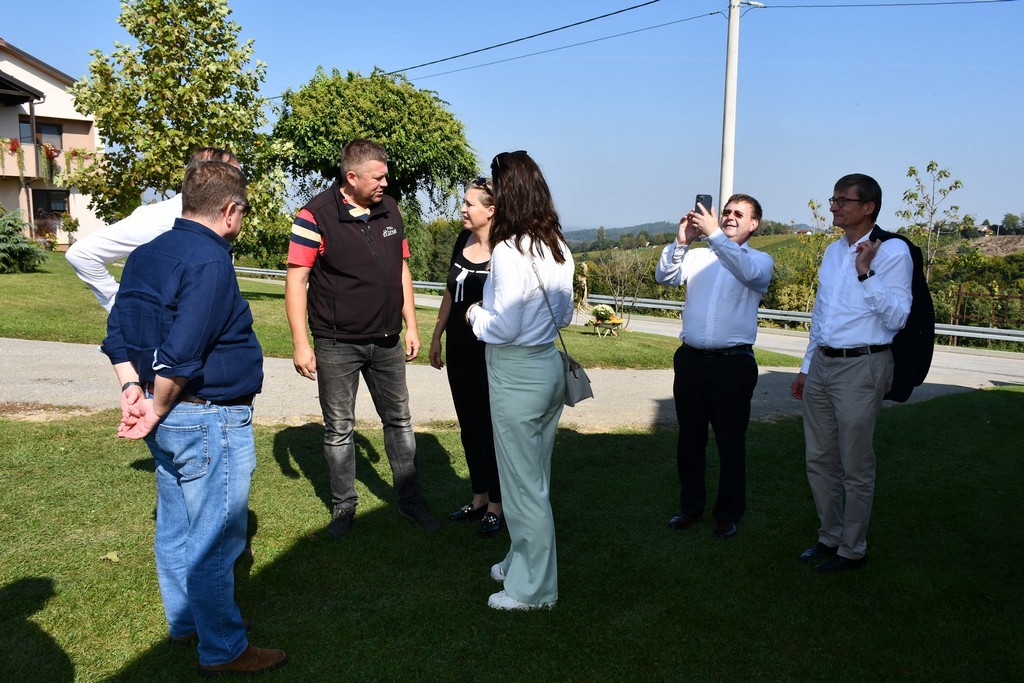 Vinarija Horvat, berba