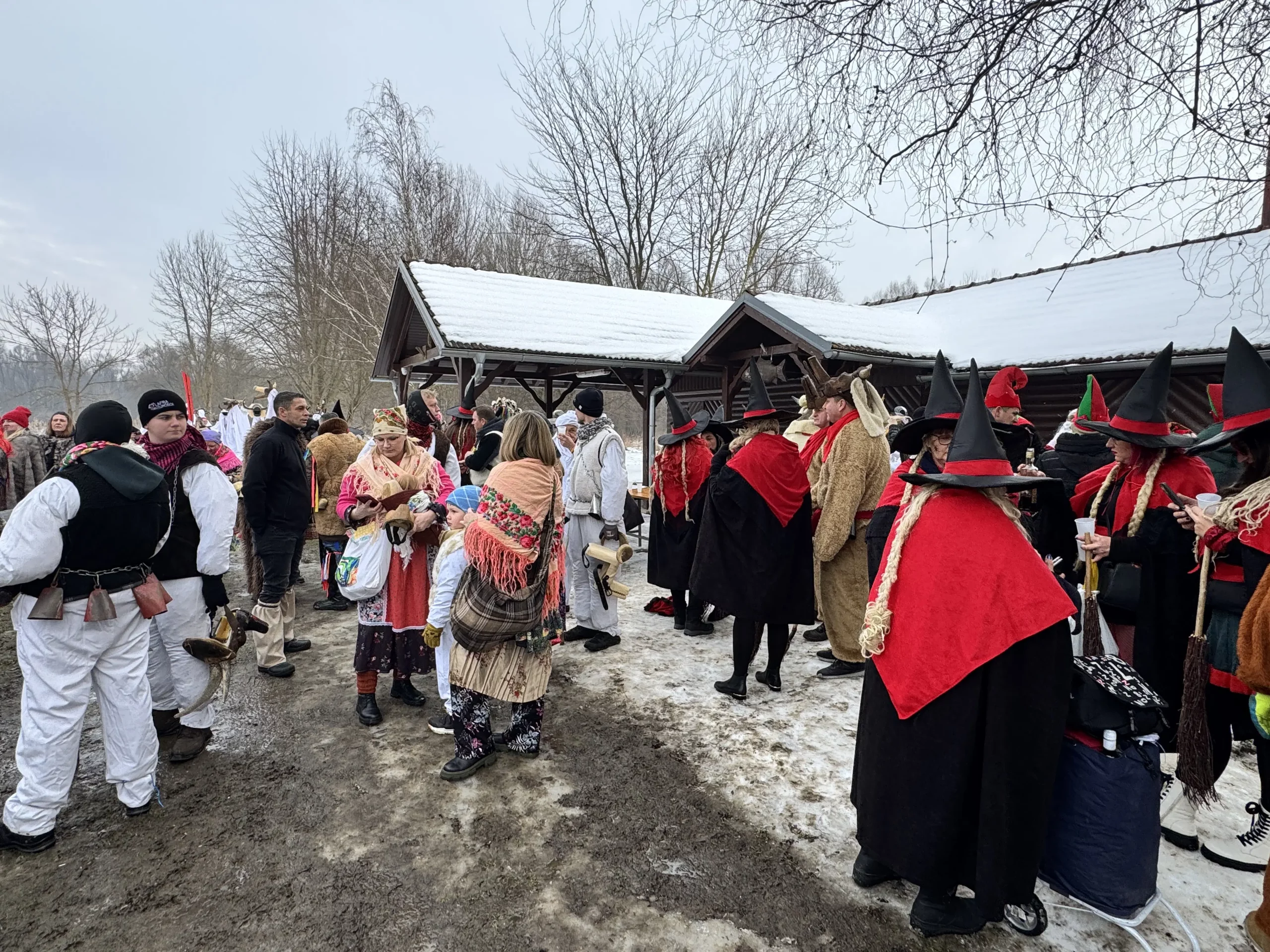 24. PODTURENSKI FAŠNIK (10)