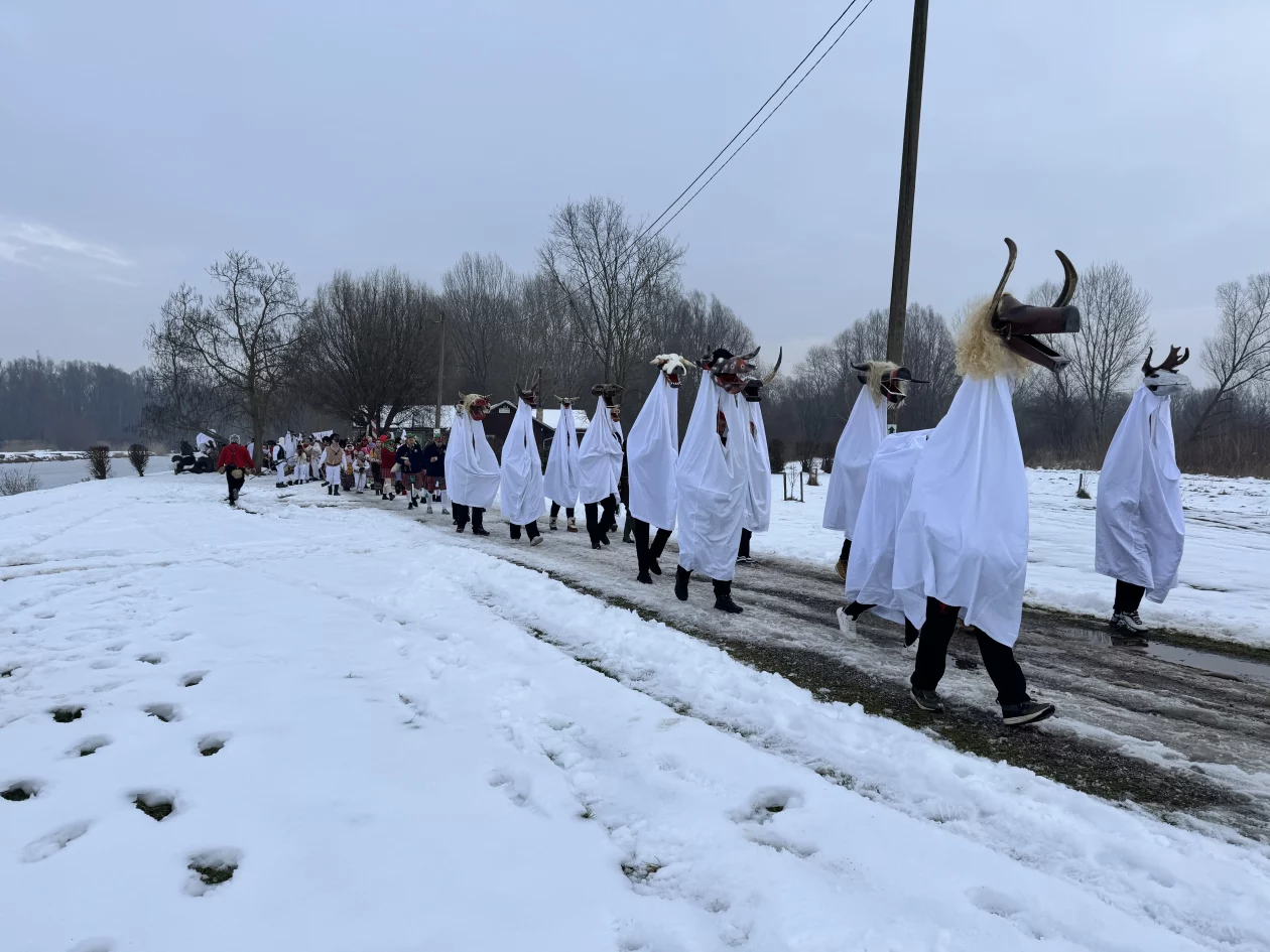24. PODTURENSKI FAŠNIK (16)