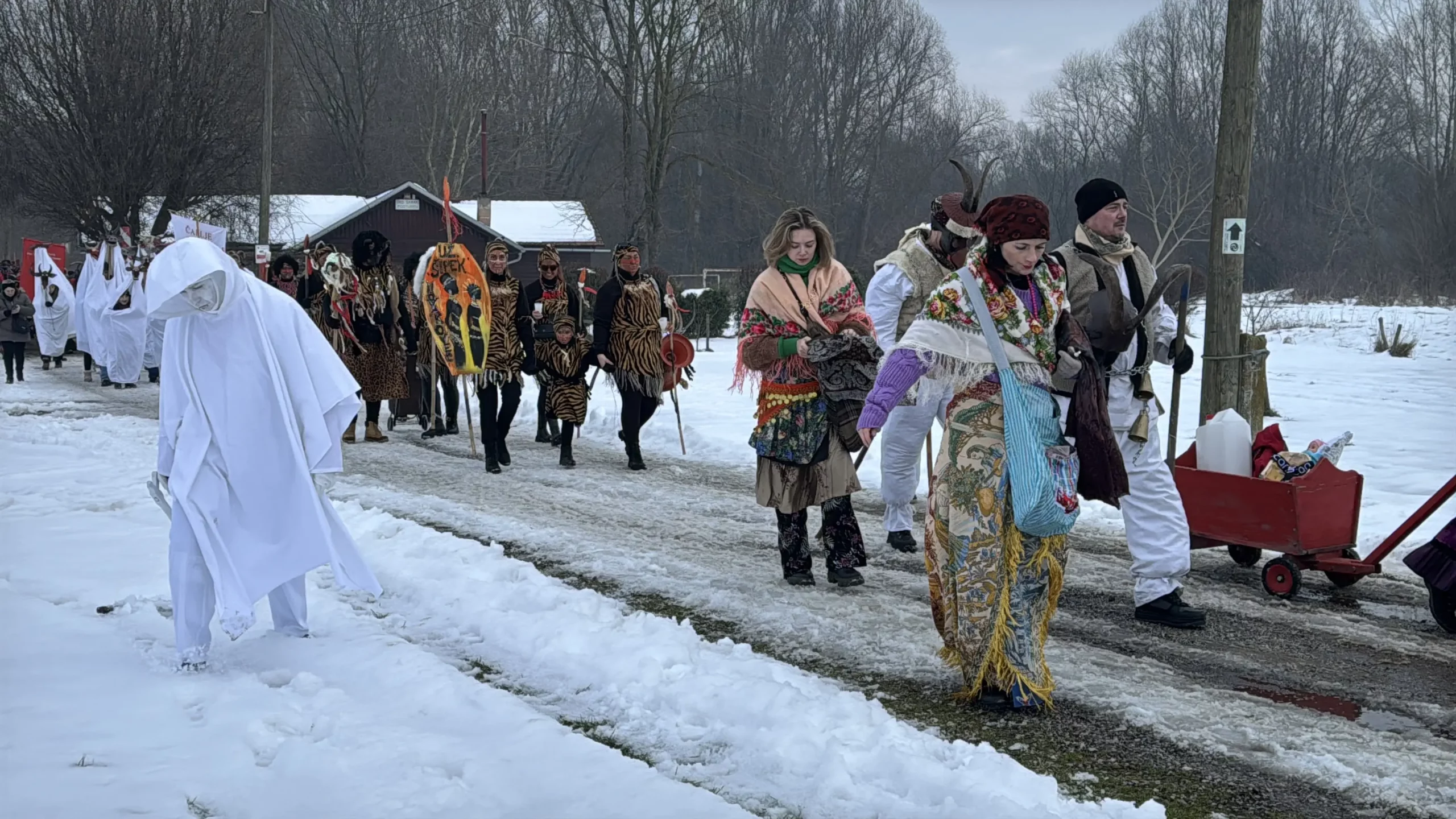 24. PODTURENSKI FAŠNIK (23)