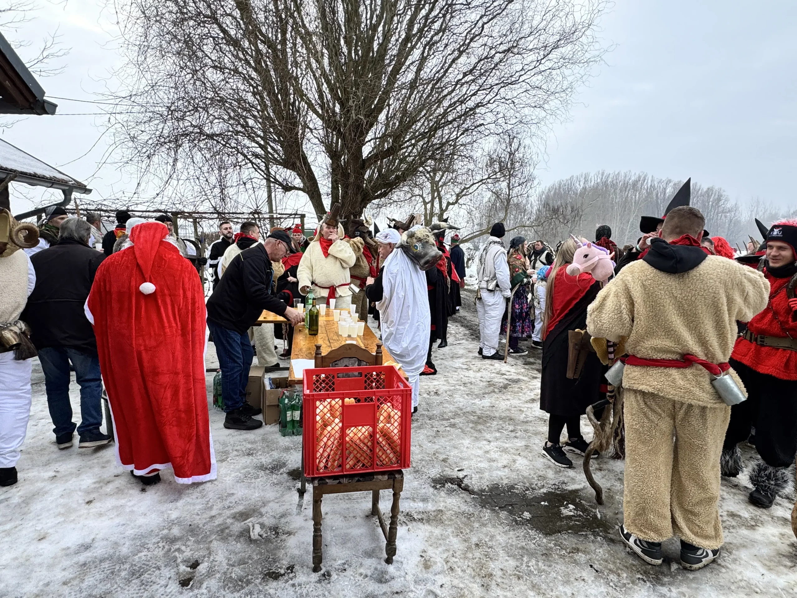 24. PODTURENSKI FAŠNIK (8)