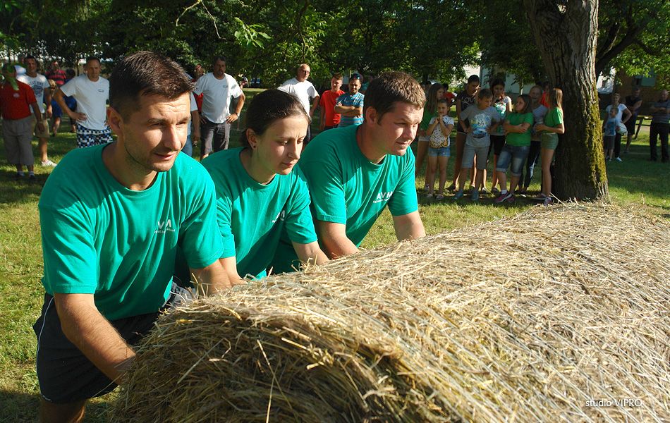 361915819dsc07168974593