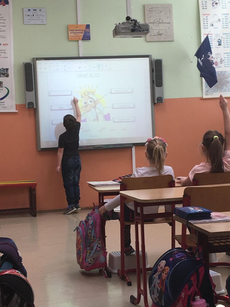 2876845810211167097637564268196