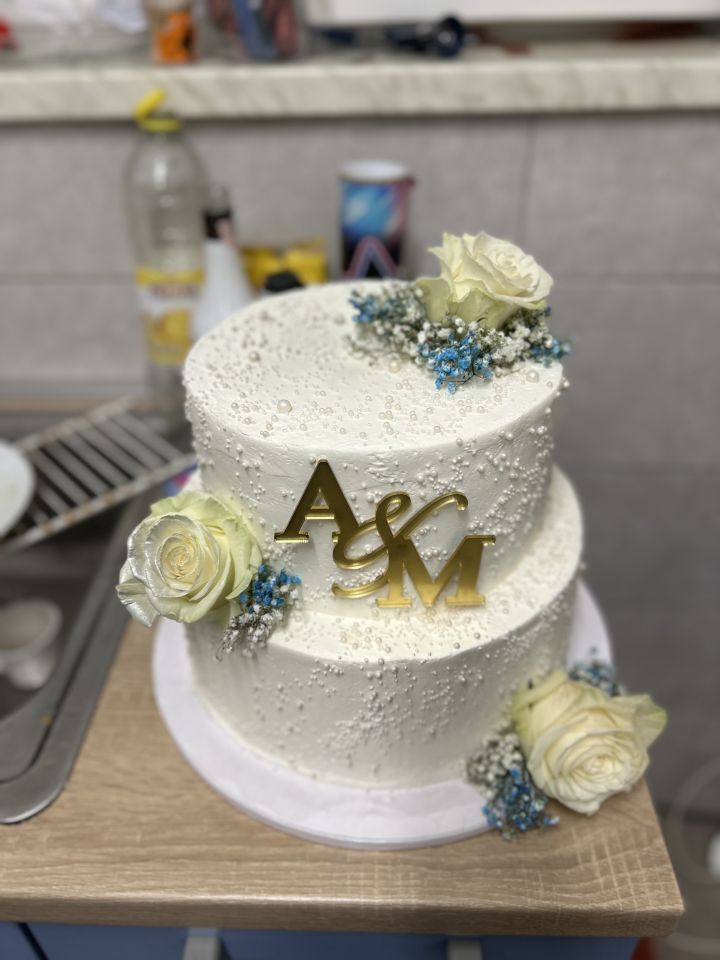 25 GODINA LJUBAVI Repriza svadbe iznenadila Anitu i Marka Babušek (10)