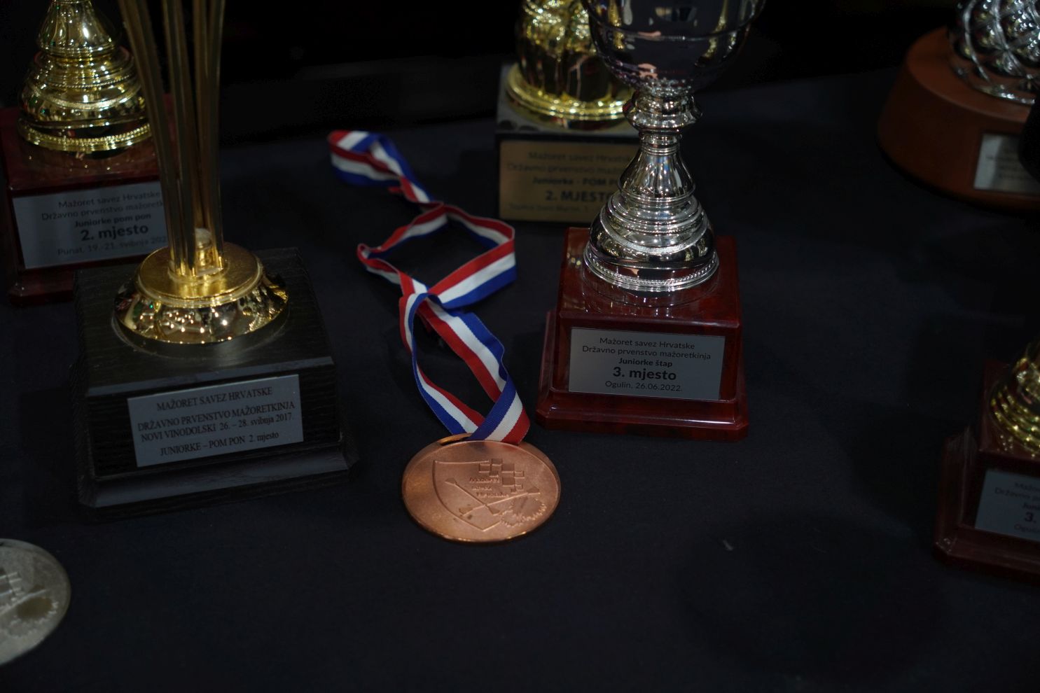 25 godina Mažoretkinja nedelišće mažoretkinje (33) 25 godina Mažoretkinja nedelišće mažoretkinje (33)