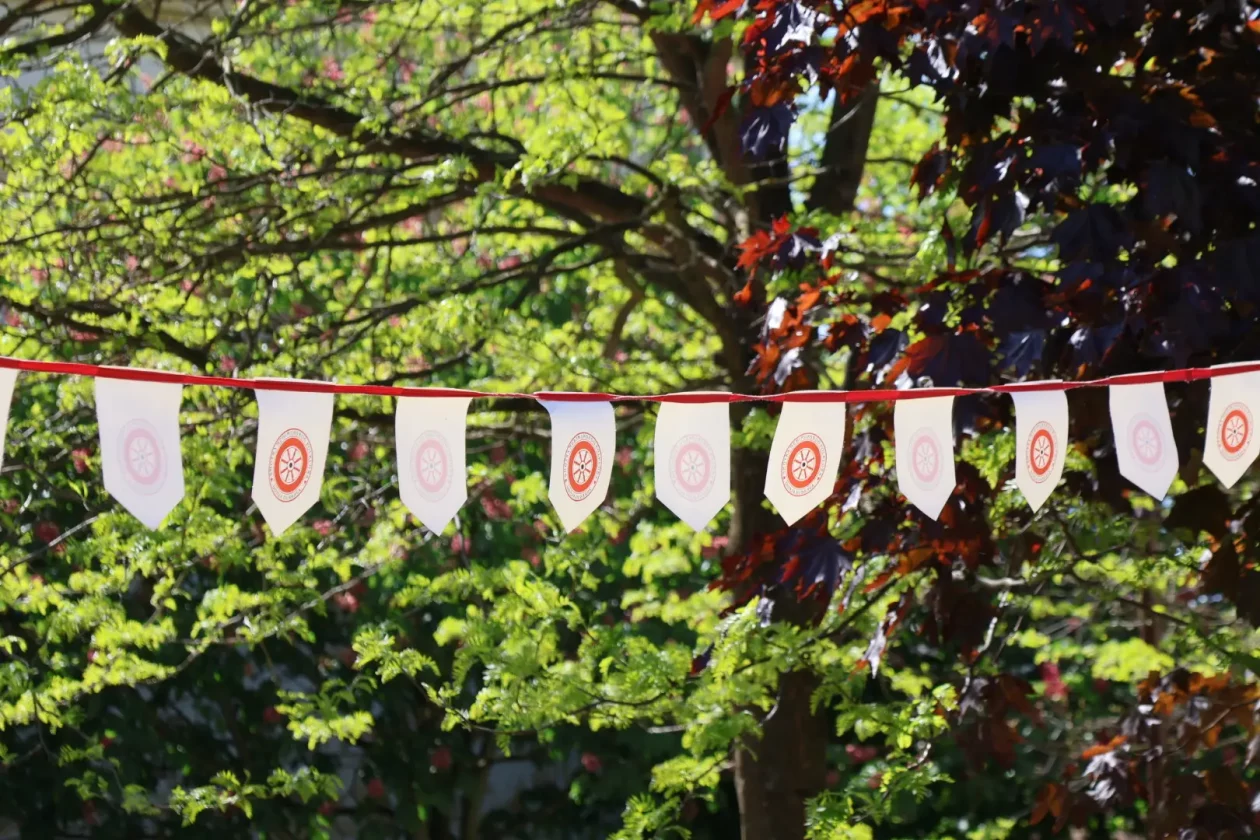 25. SMOTRA MEĐIMURSKOG FOLKLORA Donja Dubrava (4)