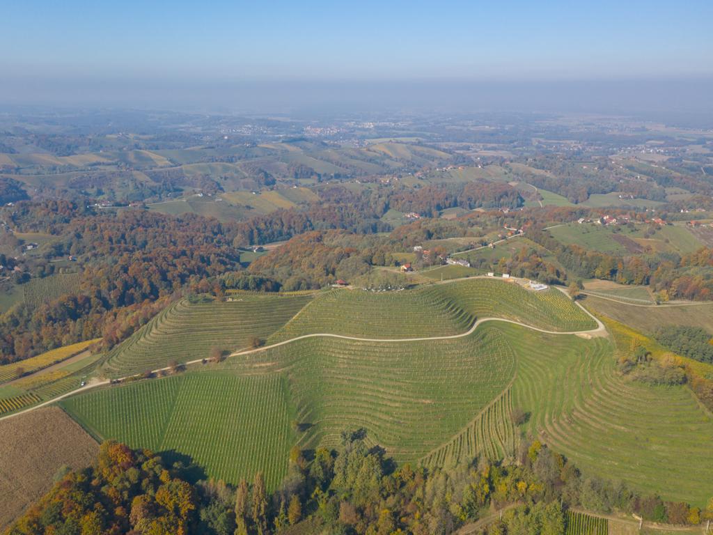 Image 5118896 (auto) Image 5118896 (auto)