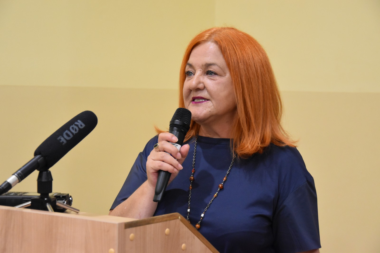 Svečana sjednica Općinskog vijeća Svete Marije