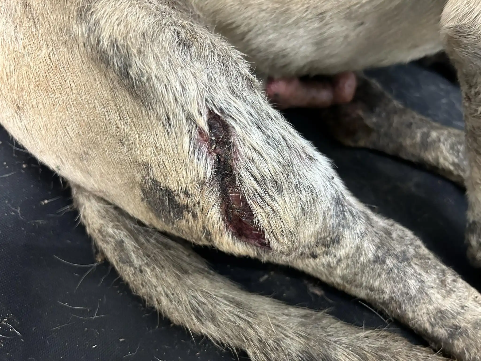 25ab15b1-73ef-49d1-b8c3-2cec29ad79d7 25ab15b1-73ef-49d1-b8c3-2cec29ad79d7