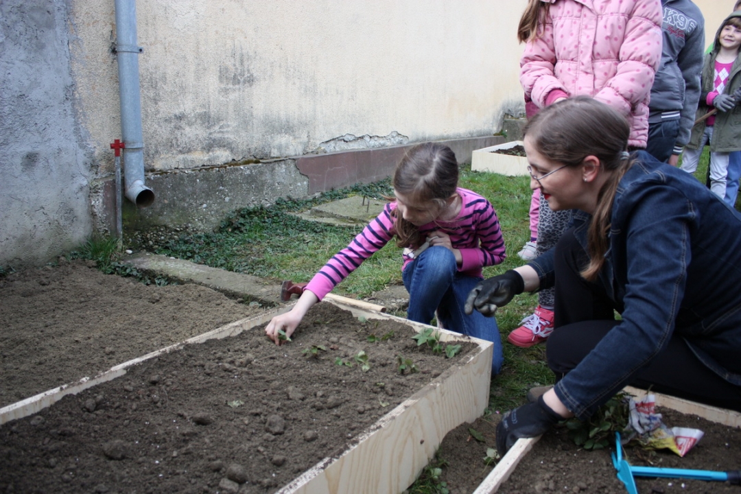 img4235resizekopija509915