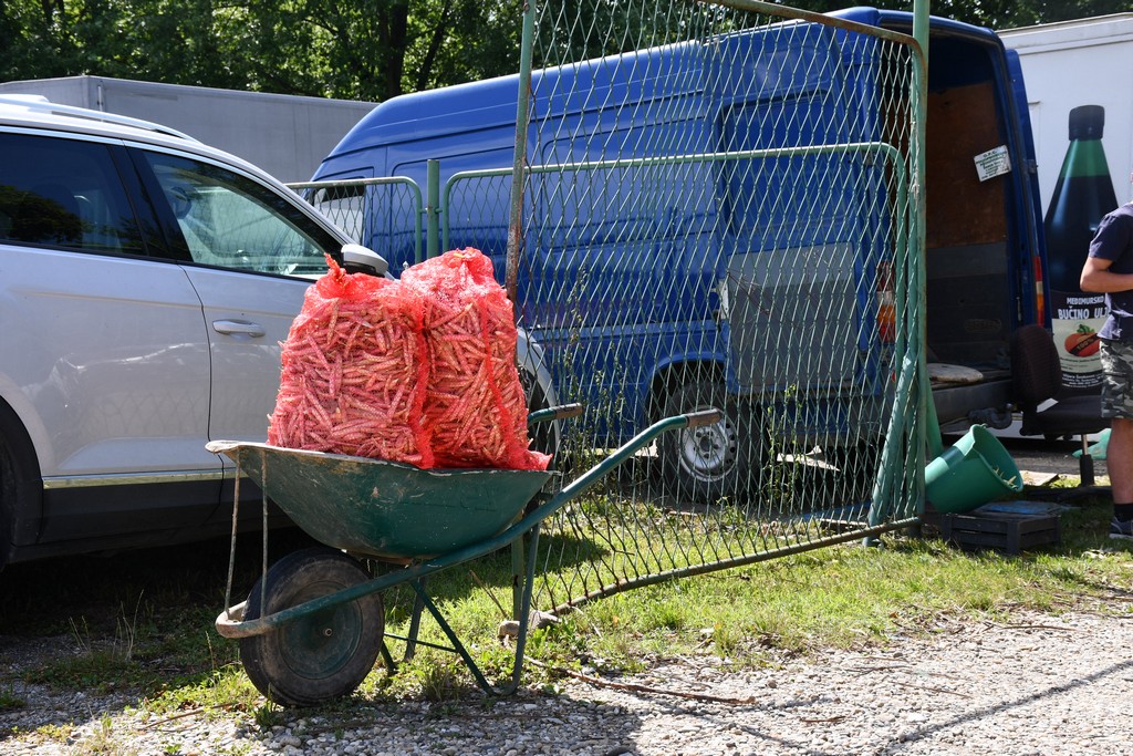 SAJAM U ČAKOVCU Sajam je preplavilo obilje svježeg voća i povrća