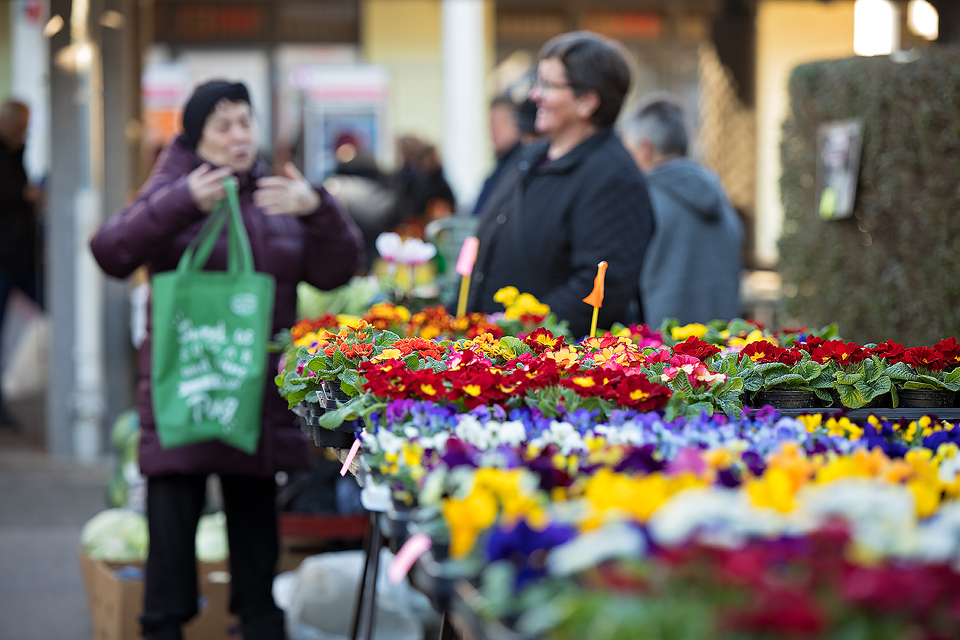 Klikom po Prelogu (1.2.2020.)