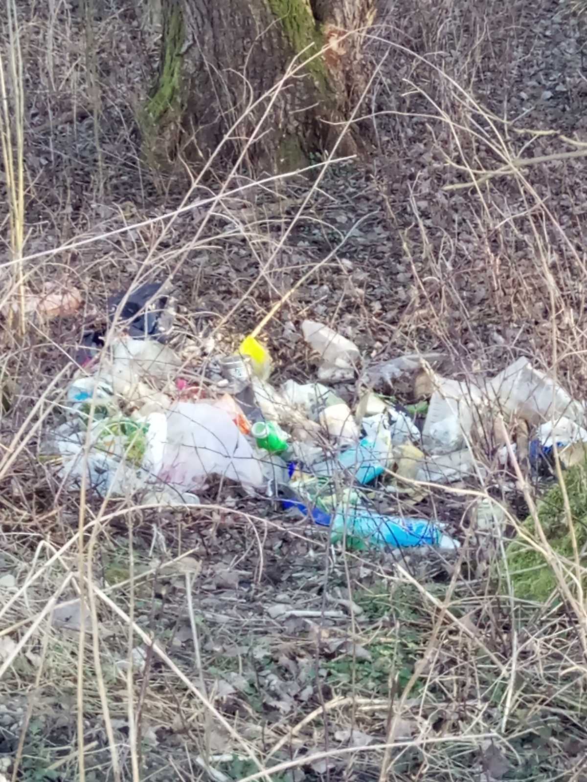 Hrpe smeća u šumi samo 50 metara od prvih kuća u Kotoribi