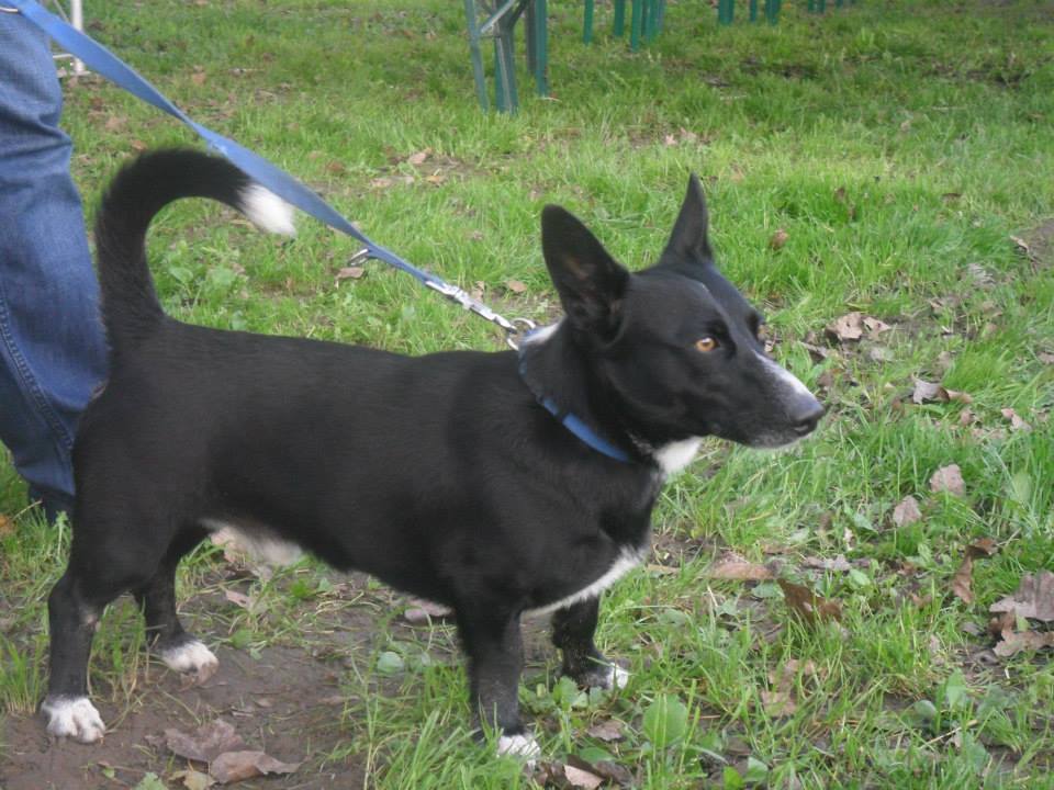 1073016932399771778347213039599