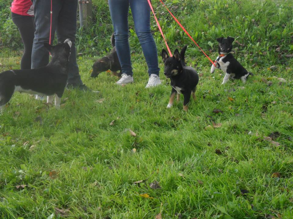 6556532399744111683386529458614