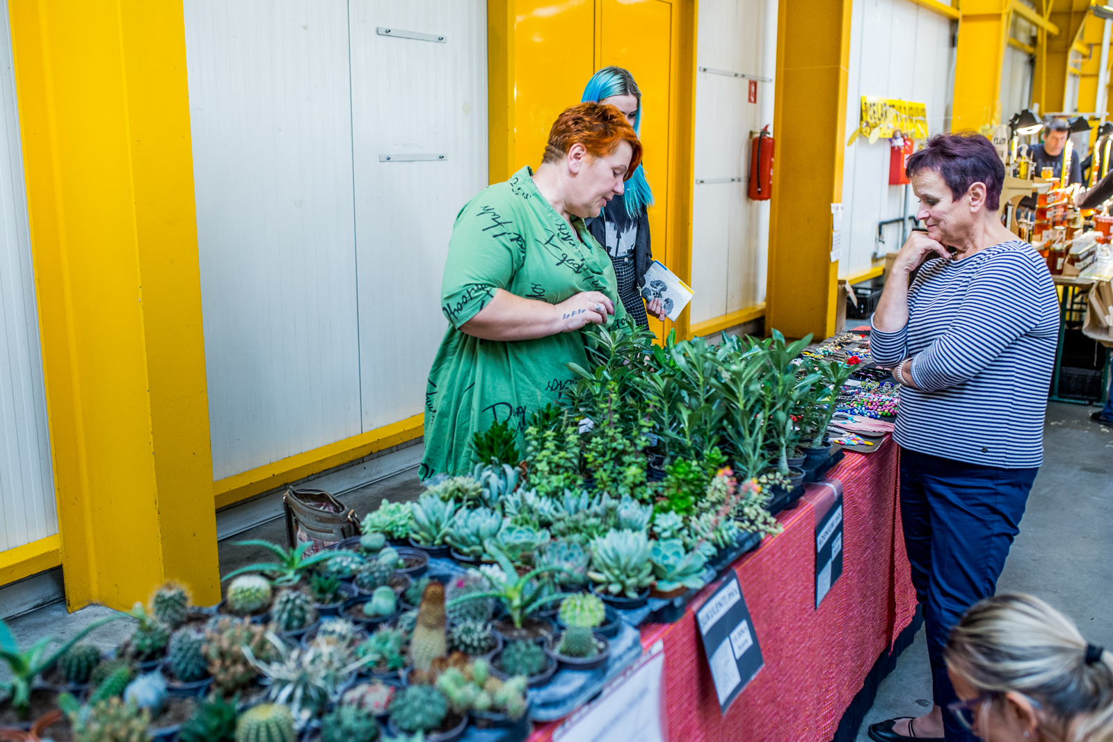 Treći Regionalni plac na Mesapu u Nedelišću ponudio domaće i najbolje