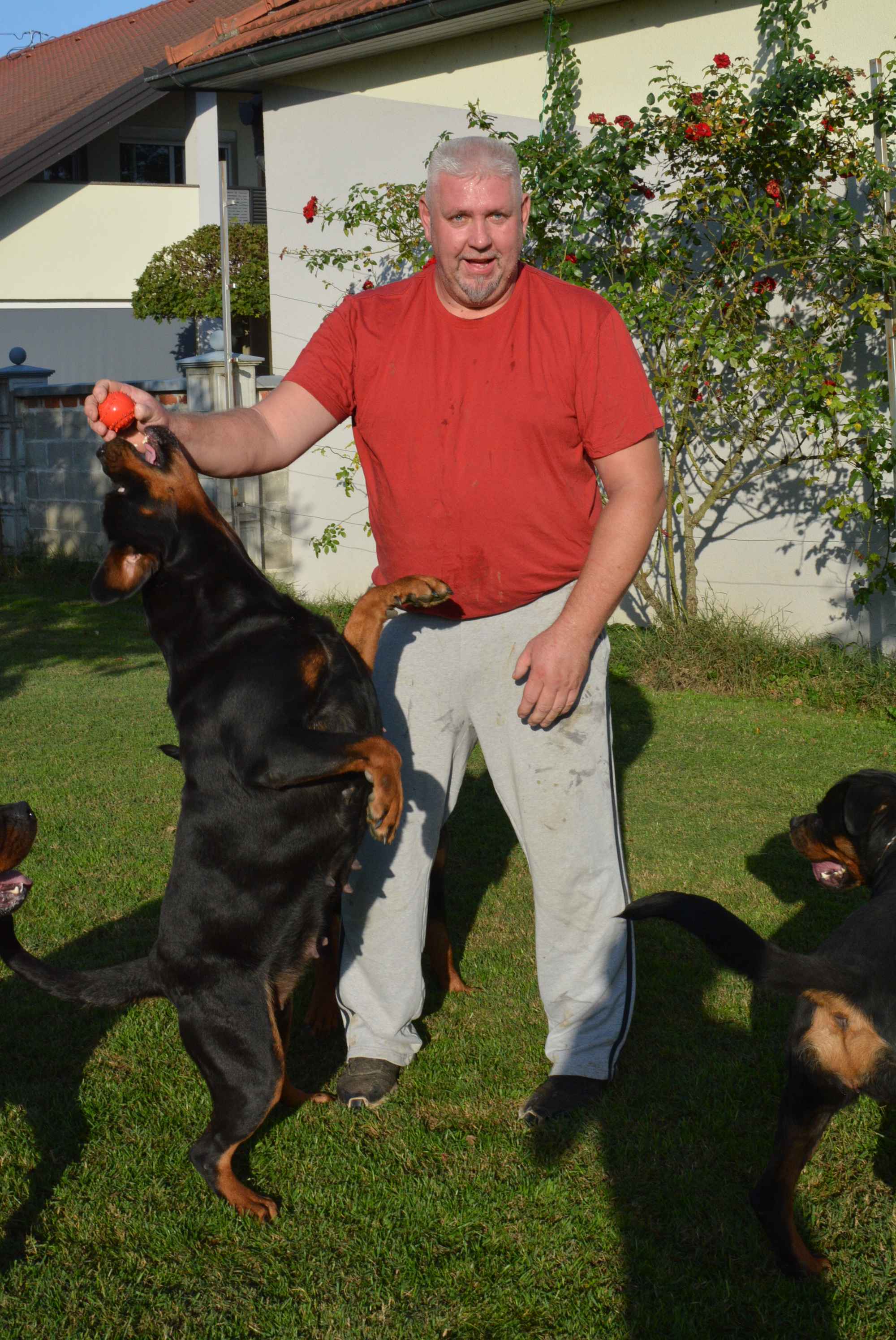 OBITELJ MIKAC IZ MIHOVLJANA Od 2014. godine imaju profinjenu uzgajivačnicu Rottweilera – ‘psi su naša najveća ljubav’ OBITELJ MIKAC IZ MIHOVLJANA Od 2014. godine imaju profinjenu uzgajivačnicu Rottweilera – ‘psi su naša najveća ljubav’