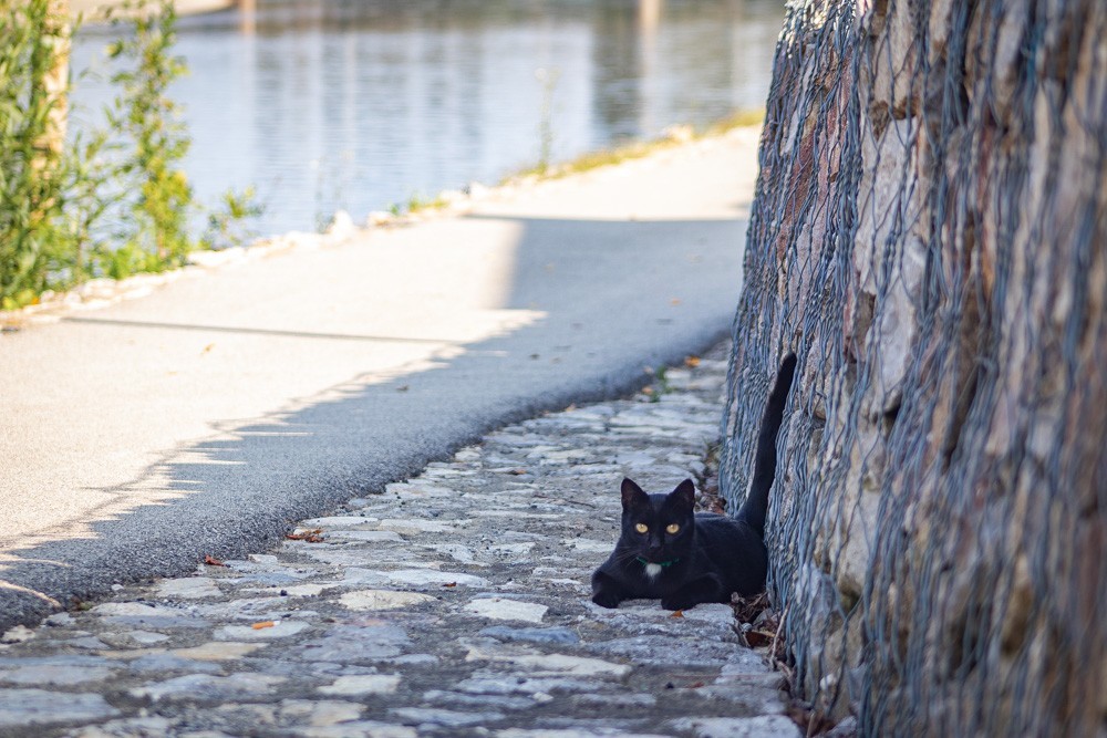 KLIKOM PO MURI Brojni građani uživali u toploj nedjelji u Murskom Središću