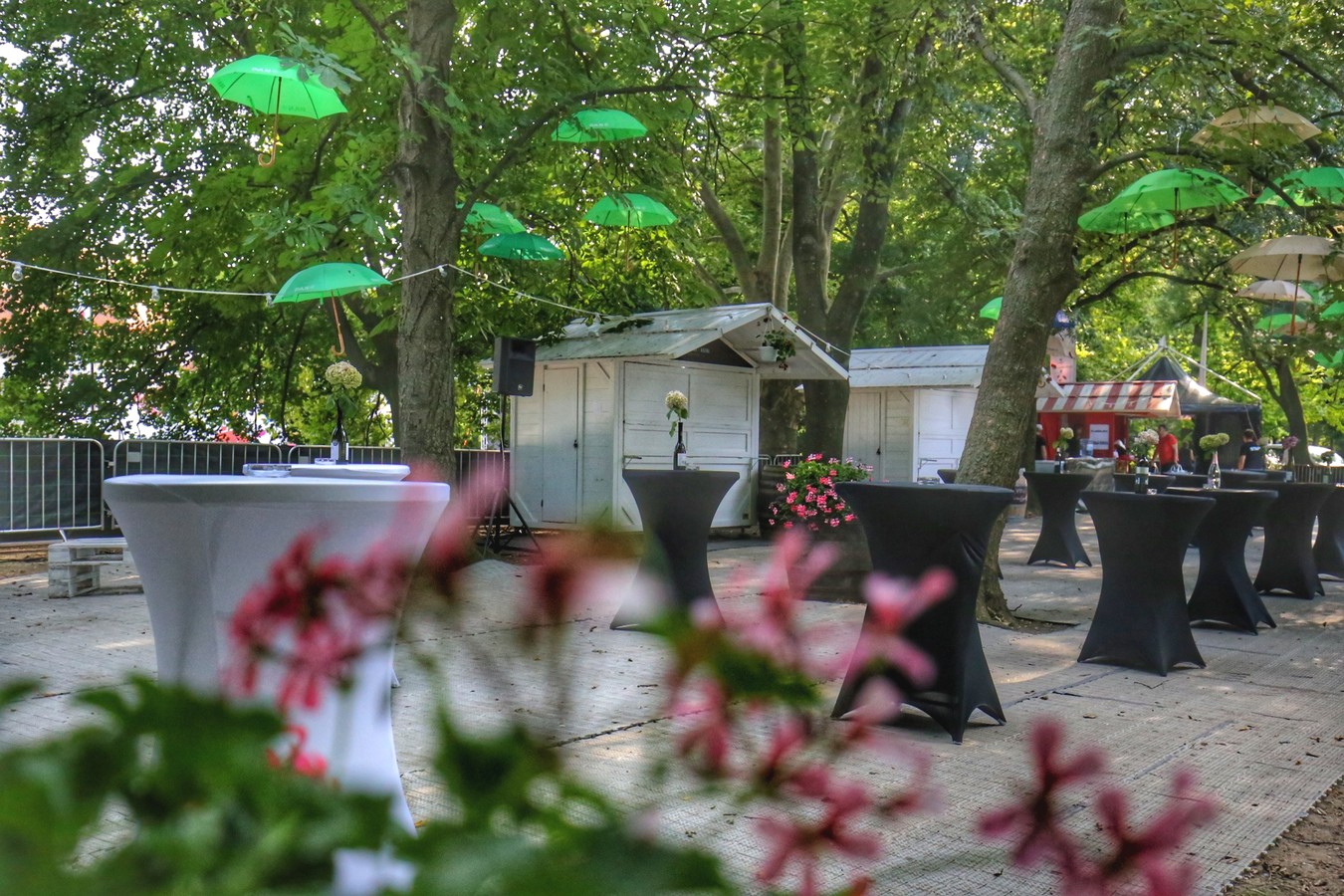 VinoGrad – neodoljiv svijet međimurskih vina na Porcijunkulovom