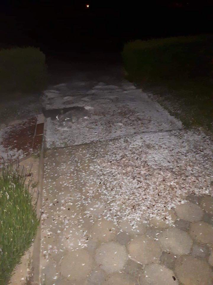 Potepanje u Prelogu i Draškovcu