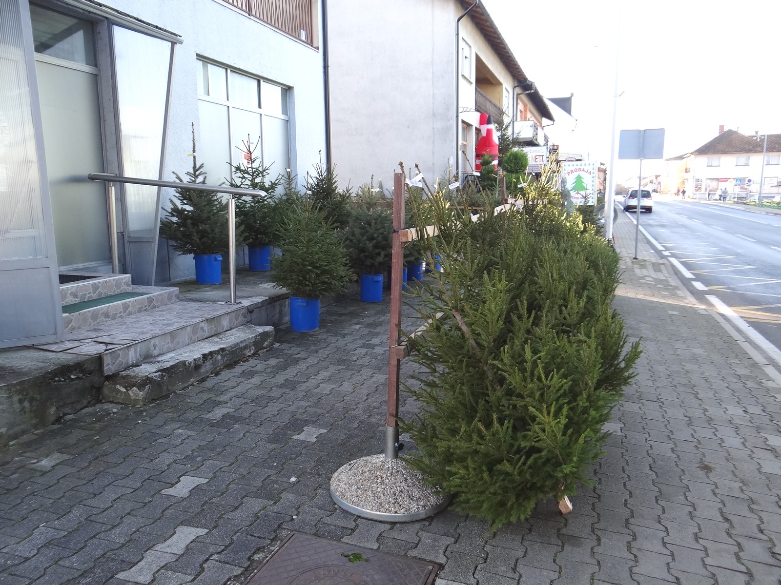 Provjerili smo cijene božićnih drvaca u Međimurju: Ponuda iz godine u godinu sve bogatija Provjerili smo cijene božićnih drvaca u Međimurju: Ponuda iz godine u godinu sve bogatija