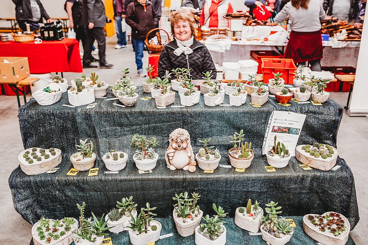 Prvi Regionalni plac na Mesapu u Nedelišću oduševio brojne posjetitelje