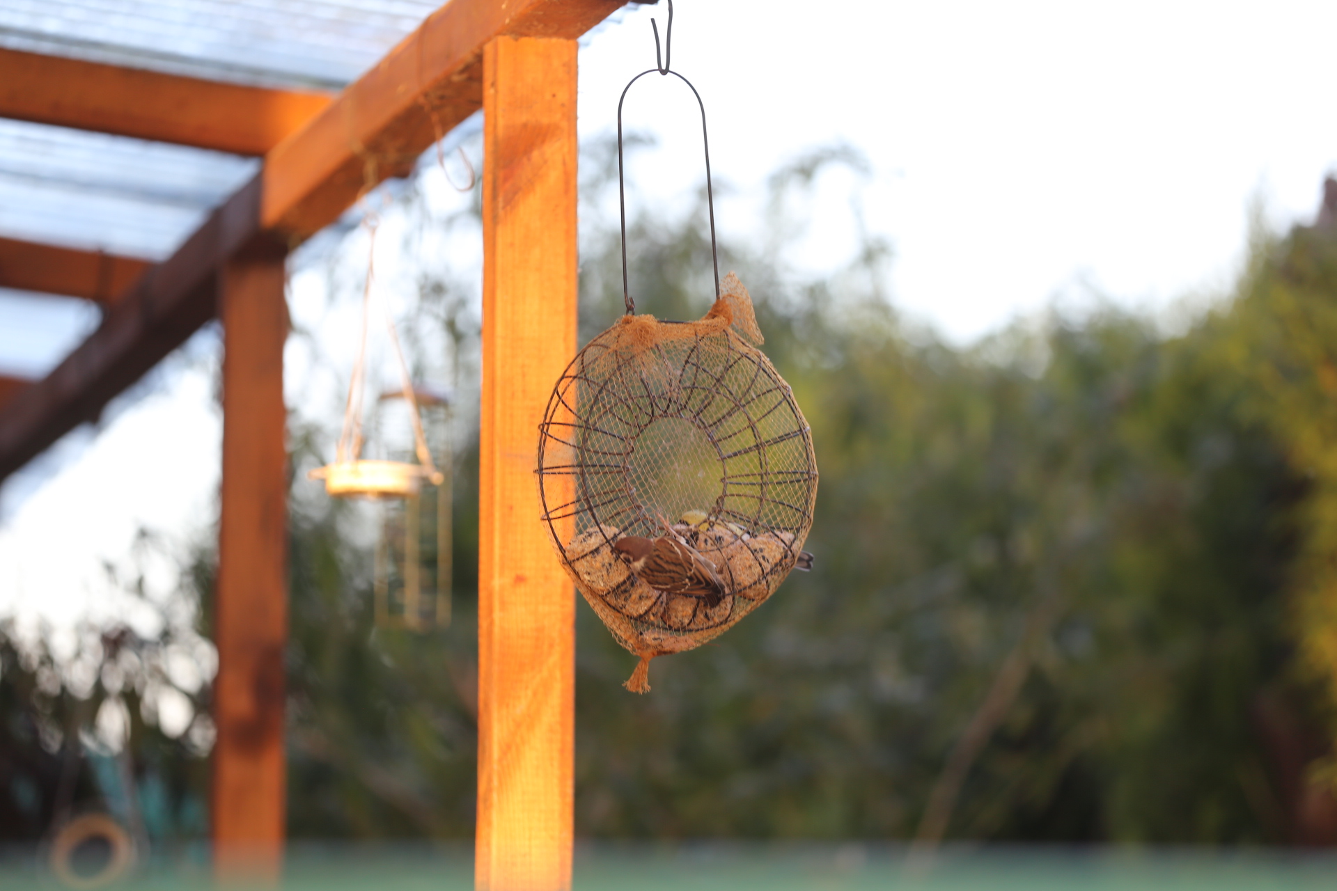 Klikom po Marini (nedjelja, 19.11.2023.)