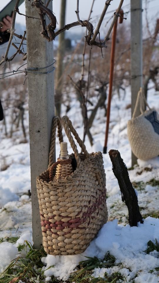 28. Vincekov pohod Sv. Martin na Muri 2026 (12)