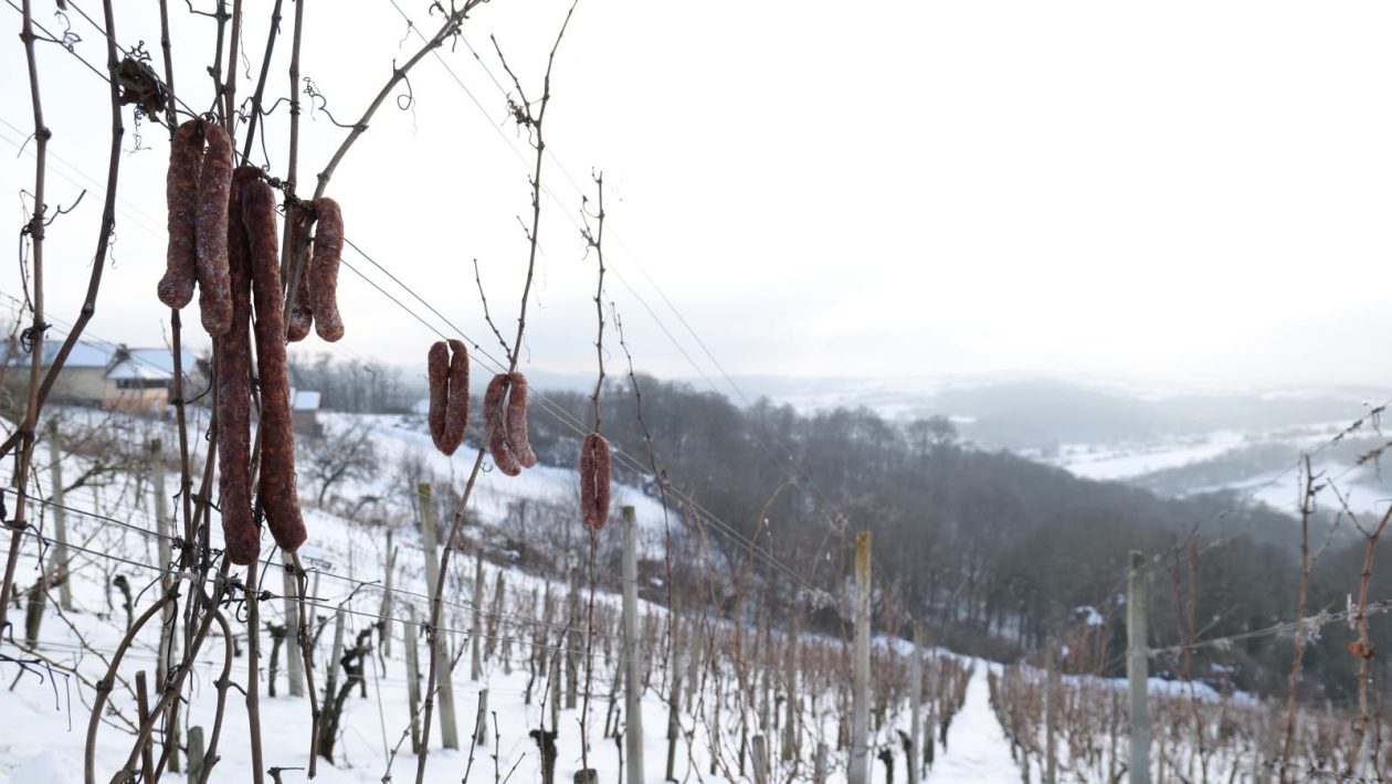 28. Vincekov pohod Sv. Martin na Muri 2026 (36)