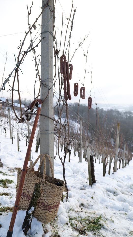 28. Vincekov pohod Sv. Martin na Muri 2026 (37)