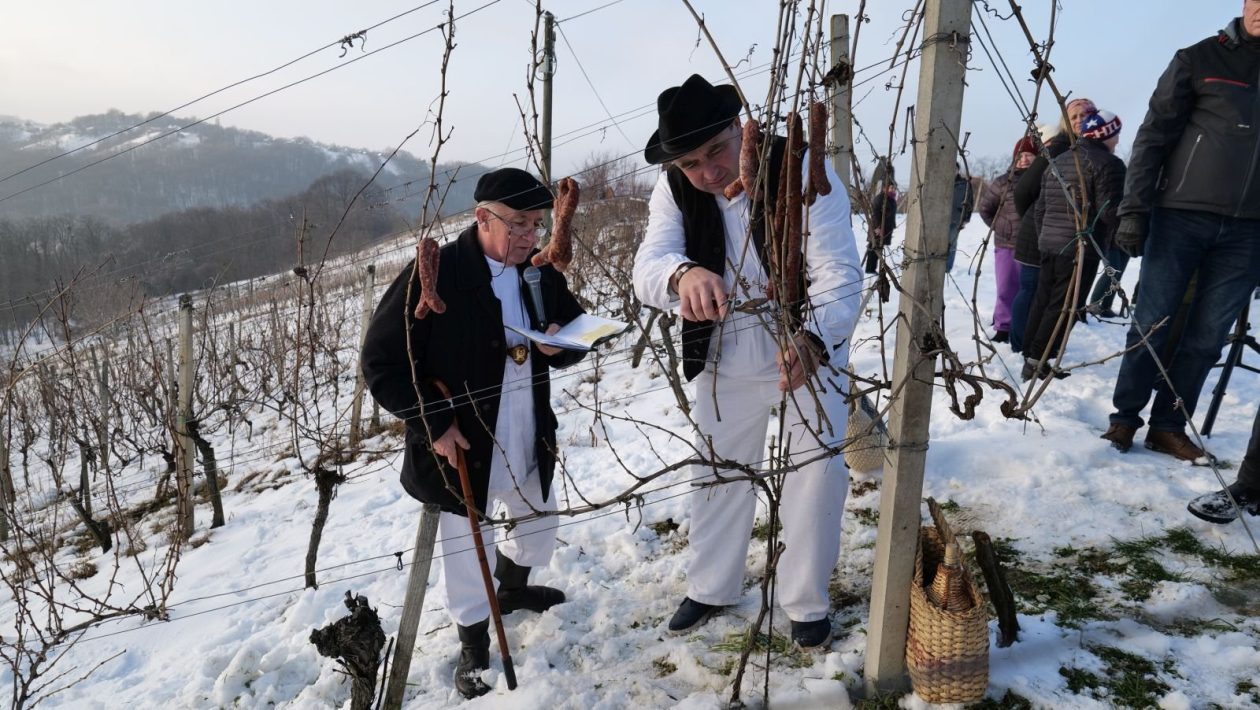 28. Vincekov pohod Sv. Martin na Muri 2026 (4)