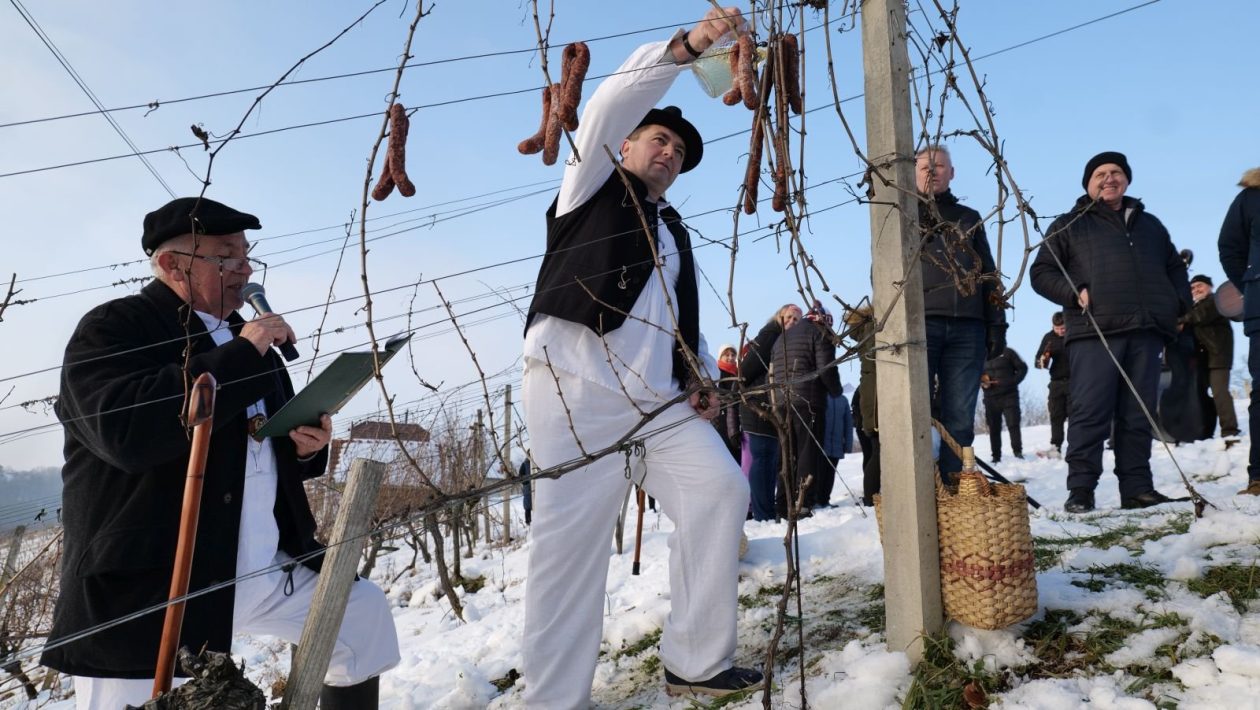 28. Vincekov pohod Sv. Martin na Muri 2026 (5)