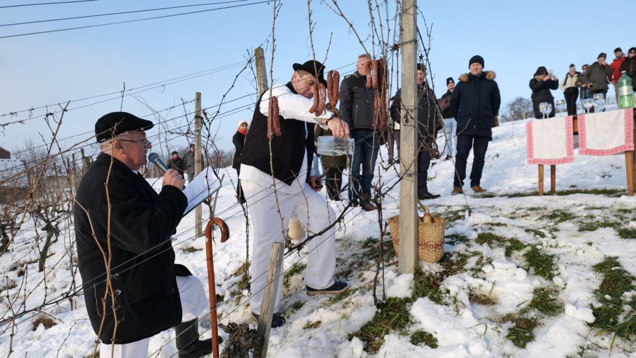 28. Vincekov pohod Sv. Martin na Muri 2026 (8)
